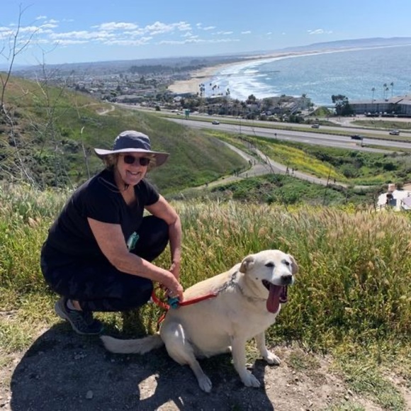 Meet your Posher, Kathy - Picture 1 of 1